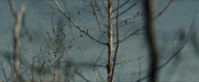 Well, - The Blind