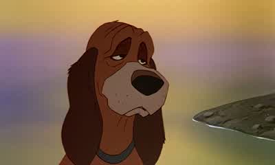Well... Come on, boy. Let's go home. - The Fox and the Hound