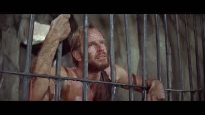 Well... You're not as smart as Stewart, but you're the only girl in town. - Planet of the Apes