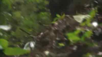 Well, - Man vs. Wild