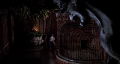 Well you scared me - Cat People