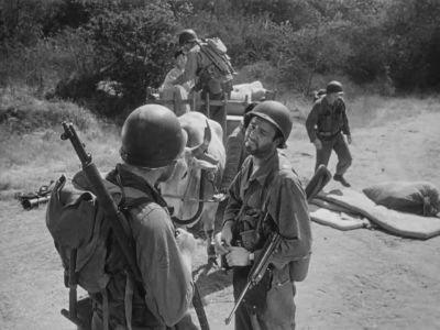 Well Sergeant I told you it was a waste of time - The Steel Helmet