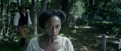 Well, sir, I can get one. - The Birth of a Nation