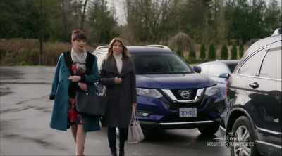 WELL, SOMETHING TELLS ME - Garage Sale Mysteries: Picture a Murder