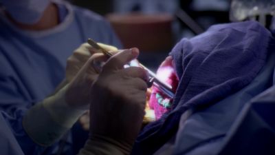 We'll strive for you Alma Mater... - Grey's Anatomy