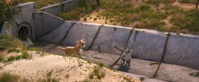Well, that stupid "divide
the carrier in half" thing - Gracie & Pedro: Pets to the Rescue
