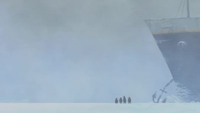 Well this sucks - Madagascar