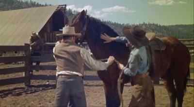 We'll take him
for you. - Guns of the Timberland