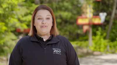 We'll take the slow and steady
improvements every day. - Secrets of the Zoo