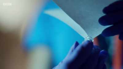 We'll take this to the lab - Secrets of the Museum