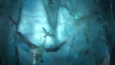 Well, thank God
for global warming, am I right? - Aquaman and the Lost Kingdom