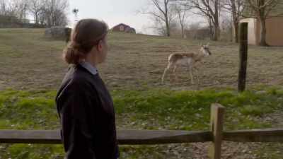 Well, that's banjo,
and that's beth. - Secrets of the Zoo