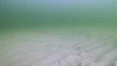 Well, that's [bleep]. - Bering Sea Gold