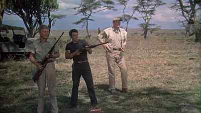 Well, that's pretty fair shooting. - Hatari!