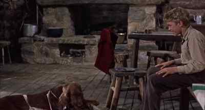 Well, the appetite
has returned? - Big Red