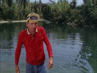 - Well?
- The cable isn't down there. - Gilligan's Island
