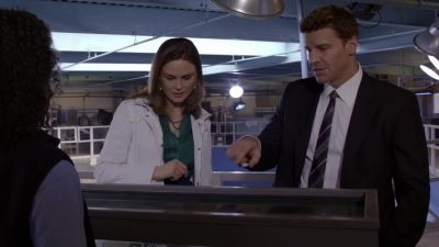 Well, the term can be
applied loosely. - Bones