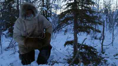 WELL, THE WOLF
BROKE THE SNARE HERE. - The Last Alaskans