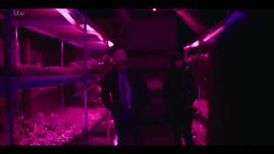 Well, then, now's your chance
to make amends, Vernon, - Dark Heart