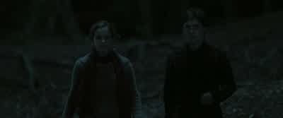 Well, then, we’ll go on foot. - Harry Potter and the Deathly Hallows: Part 1