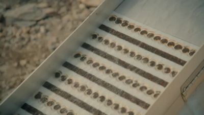 Well, there is gold in there. - Gold Rush