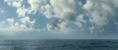 Well this is a fine mess - The Adventures of Tintin