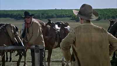 We'll tie up here, if you don't mind. - True Grit