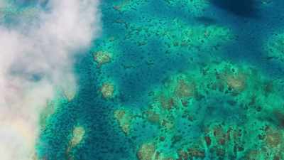 Well, that ultimately depends
on how fast they heat up, - Blue Planet II