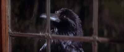 Well, upon my soul. - The Raven
