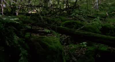 Well, wait, guys. - Wrong Turn