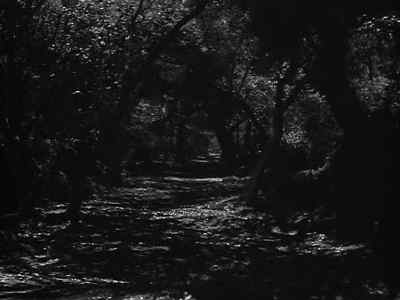 We'll wait till we see
the backs of their tonsils. - The Canterville Ghost