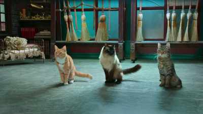 Well, wake up!
We have a magical emergency. - Scaredy Cats