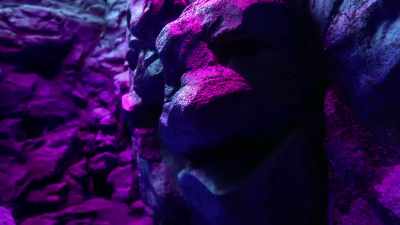 -Well, which way?
-Which way? Which way? - Fraggle Rock: Back to the Rock