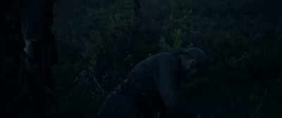 Well, well,
if I'm not the black sheep, - Unknown Soldier