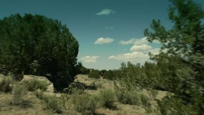 Well, well, well. - Two Sinners and a Mule