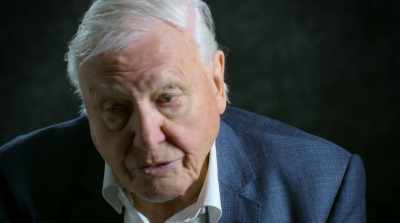 Well, we've destroyed it.
Not just ruined it. - David Attenborough: A Life on Our Planet