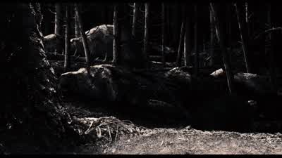 Well, what do you know? - Sin City