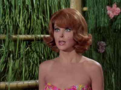 WELL?
WHAT DO YOU SEE? - Gilligan's Island