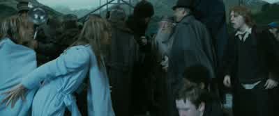 Well, yeah, a bit. - Harry Potter and the Goblet of Fire
