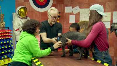WELL, YOU GUYS HAVE YOUR TEST
PLATFORM HERE, NAMED CLAUSE. - Mythbusters Jr.