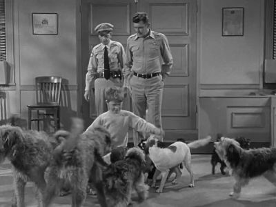 WELL, YOU KNOW
WHAT THIS MEANS. - The Andy Griffith Show