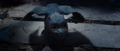 Well, you're not a bird. - Eragon