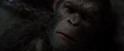 Wellington... - War for the Planet of the Apes