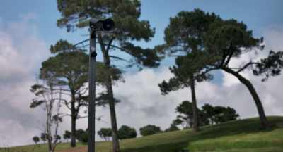 [Wendy]
Then the cameras went up. - Kim Dotcom: Caught in the Web