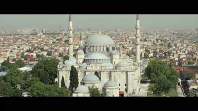 Went to Istanbul, - Bad Vegan: Fame. Fraud. Fugitives.