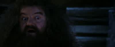 We're a bit behind schedule.Best be off. - Harry Potter and the Philosopher's Stone