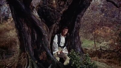 Were you a dream - Tom Thumb