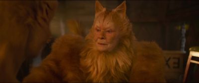 We're about to begin - Cats