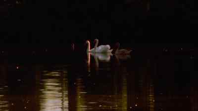 We're actually not supposed
to be here. - Dawson's Creek