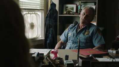 We're already "the hog killers." - Sharp Objects